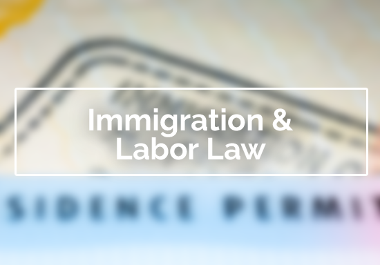 Immigration and Labor Law