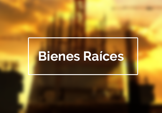Bienes Raíces