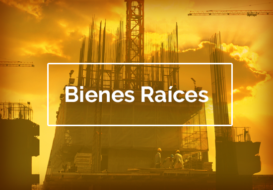 Bienes Raíces